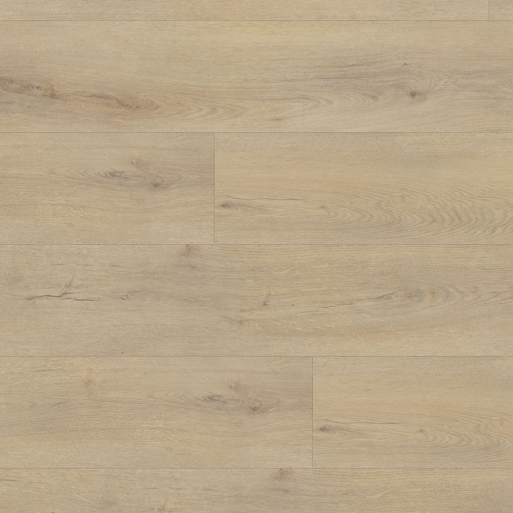 Beaulieu Vinyl Planks Expedition Gingko Click Lock 8-7/8" x 72-1/16"