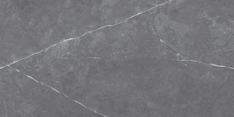 Centura Floor Tile Leiva Dark Grey Polished 12" x 24"