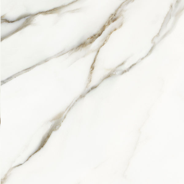 Centura Floor Tiles Calacatta Borghini Matte 13″ x 13″