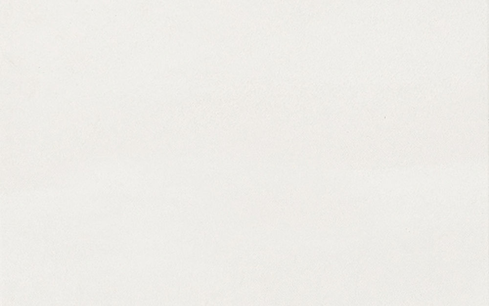 Centura Wall Tiles Serenity White Matte 10″ x 16″