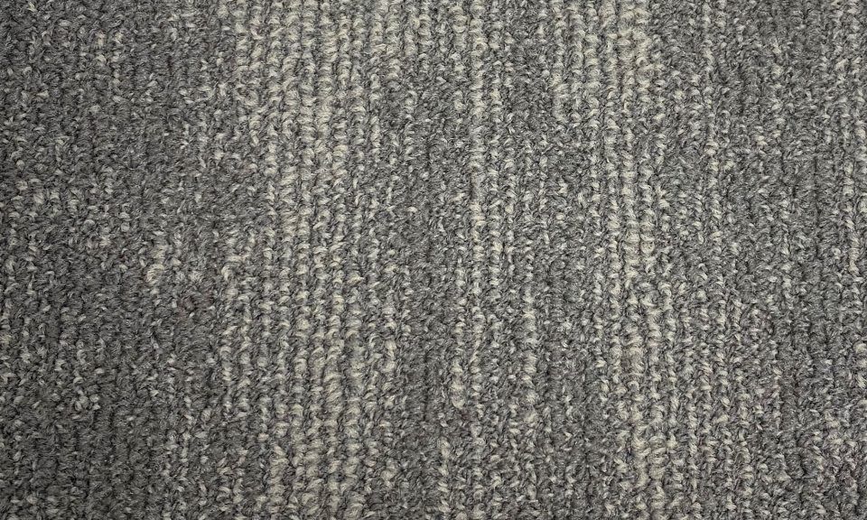 Fuzion Carpet Tiles Warsaw Leduc 10″ x 40″