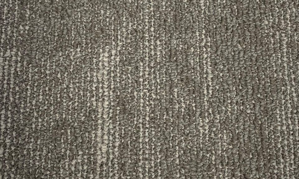 Fuzion Carpet Tiles Warsaw Quinte 10″ x 40″