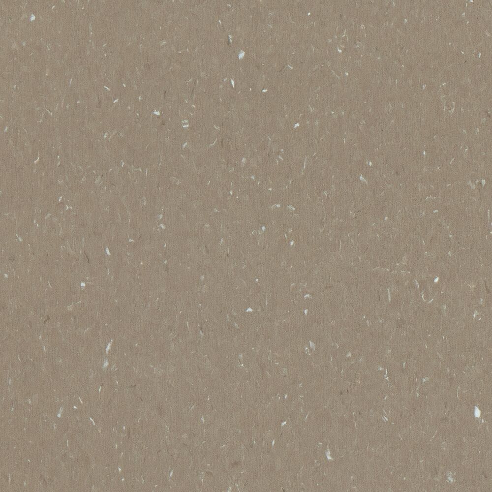 Armstrong Homogeneous Vinyl Roll Medintone Warm Cocoa 6′ 6″ – 2 mm (Sold in Sqyd)