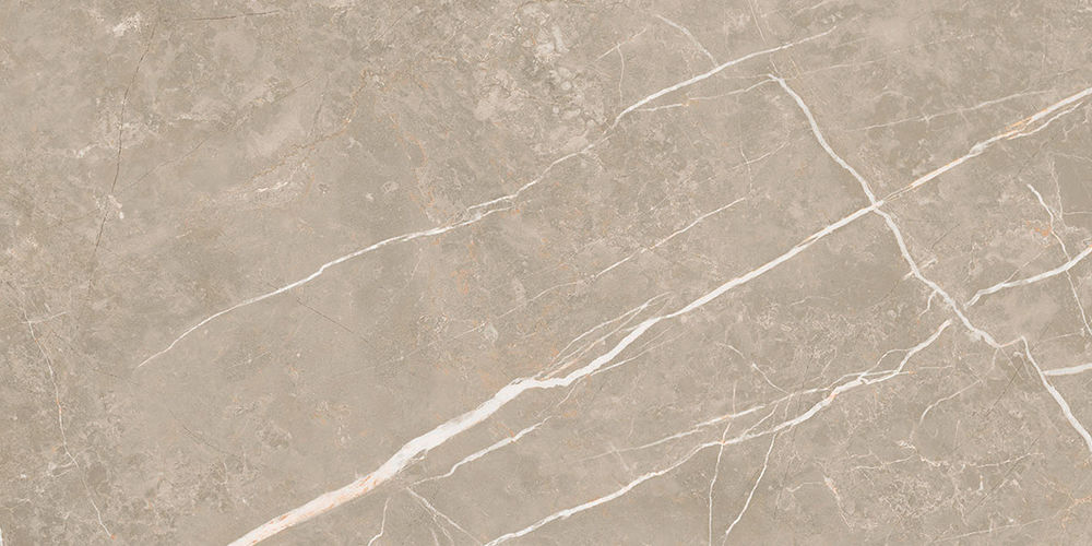 Centura Floor Tiles Elite Greige Matte 12″ x 24″