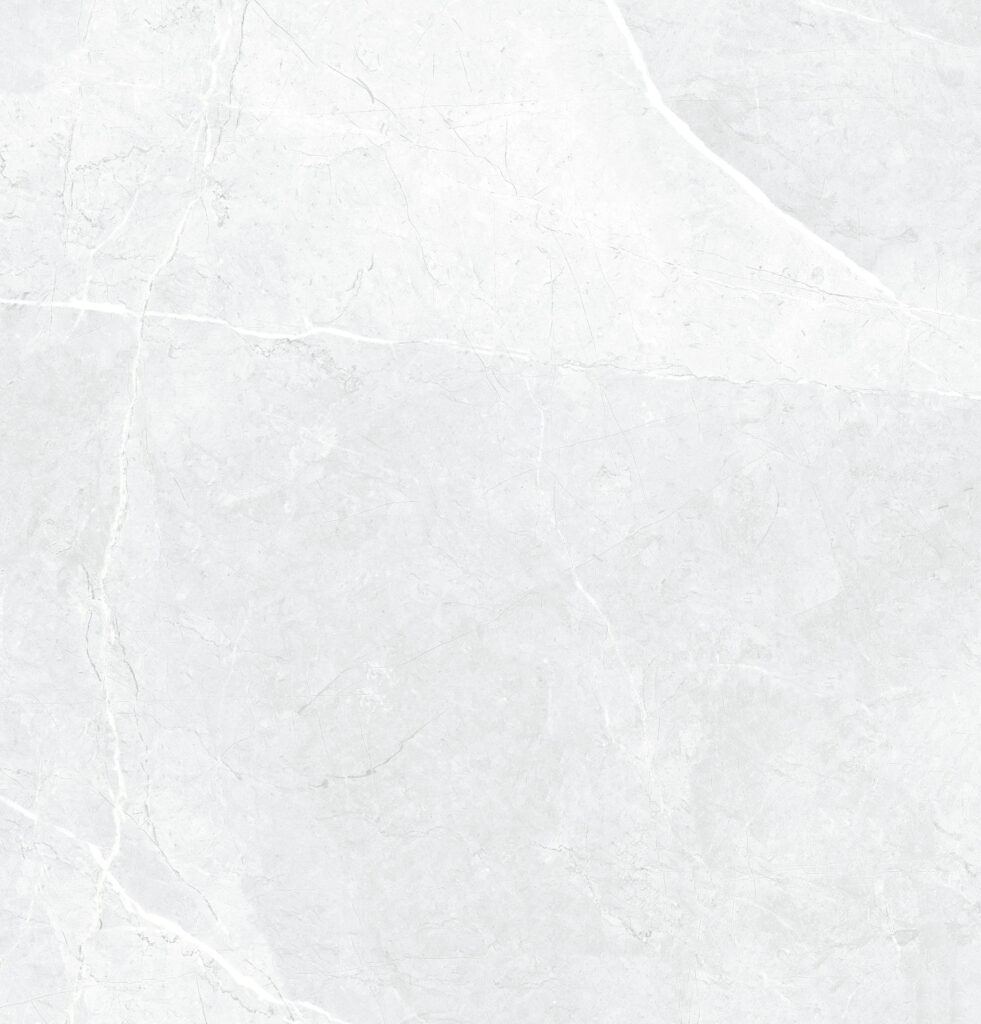 Centura Floor Tile Leiva Bone Matte 24″ x 24″