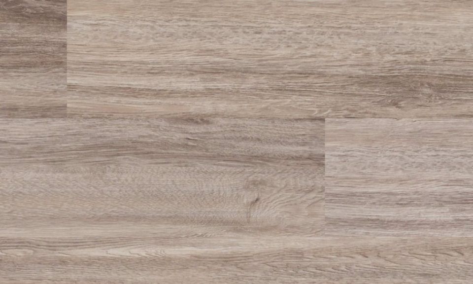 Fuzion Vinyl Planks Woodlands Beech Tree Glue Down 7″ x 48″