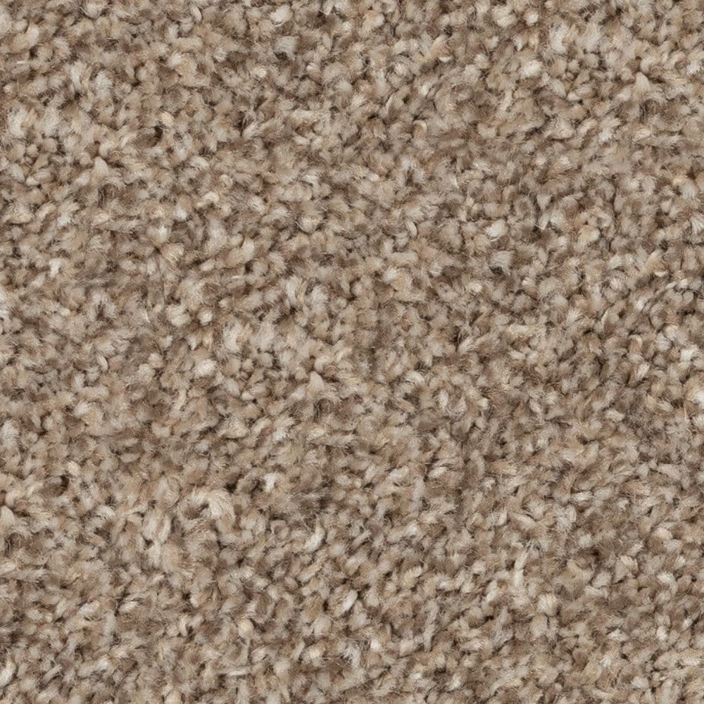 Close-up of beige textured carpet surface