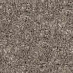 Dragon Grey
