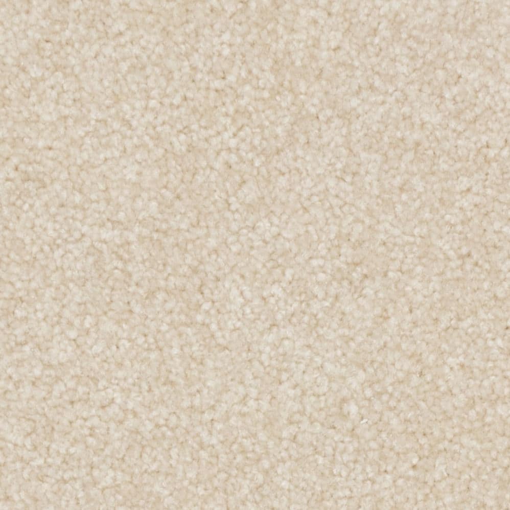 Close-up of beige carpet texture