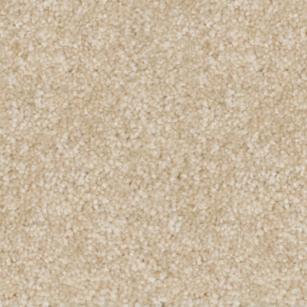 Close-up of beige carpet texture