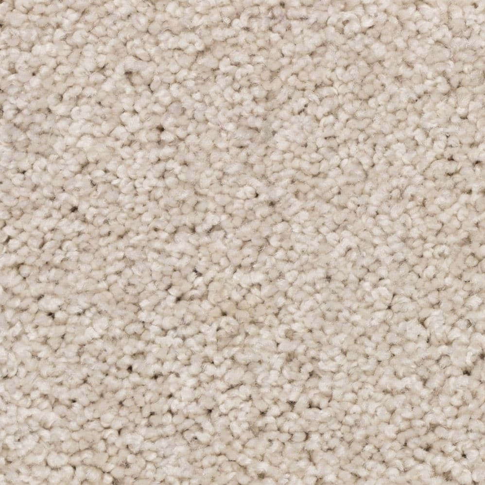 Close-up of beige carpet texture