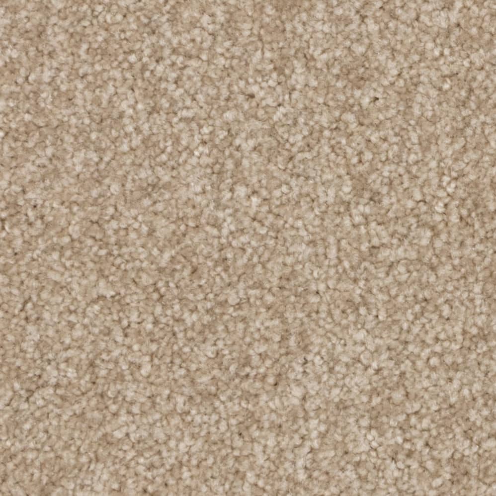 Close-up of beige carpet texture