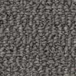North American Grey
