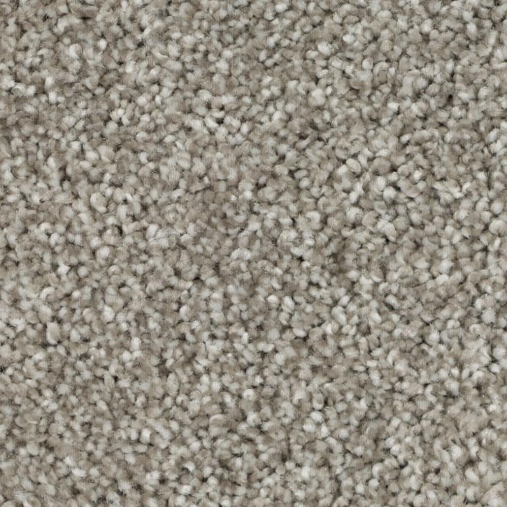 Close-up of beige plush carpet texture