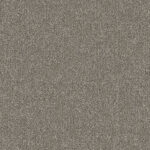 Sparrow Grey