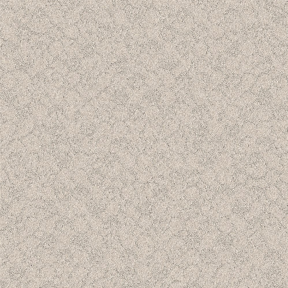 Close-up of beige textured carpet surface
