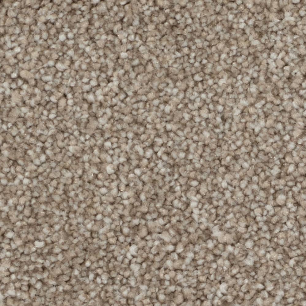 Close-up of beige carpet texture