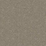 Partridge Brown