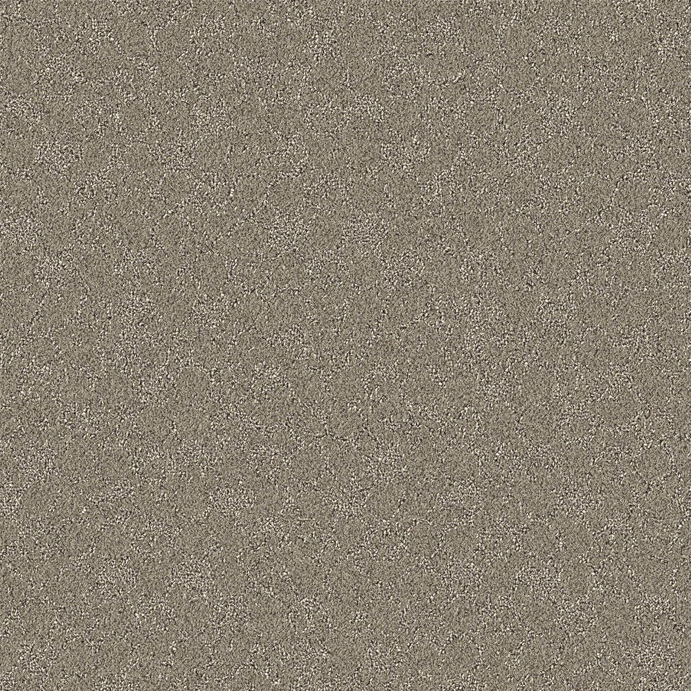 Close-up of beige textured carpet surface