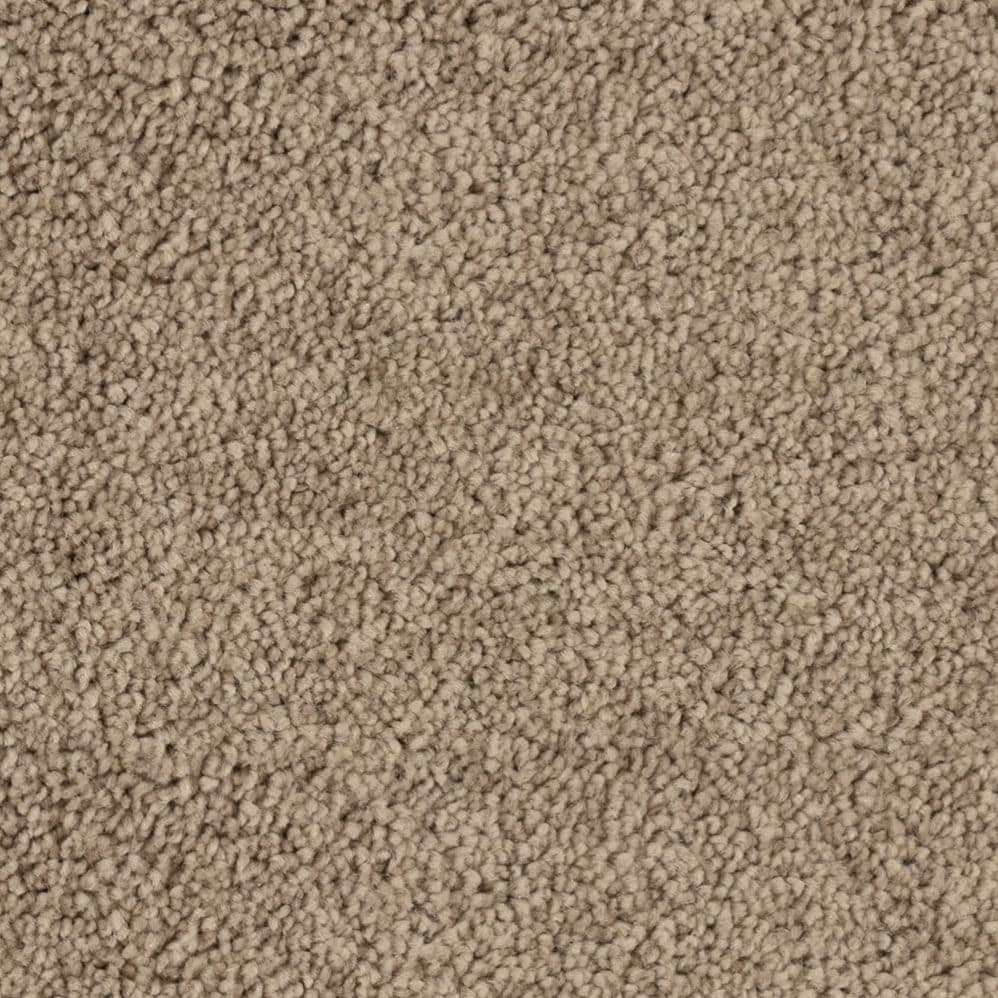 Close-up of beige textured carpet surface