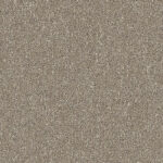 Partridge Brown