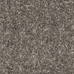 Dragon Grey