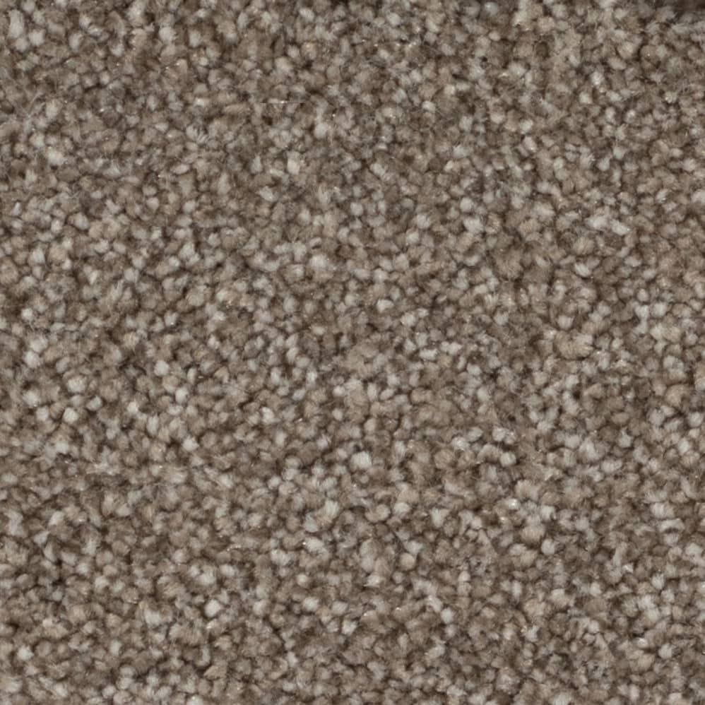 Close-up of beige carpet texture