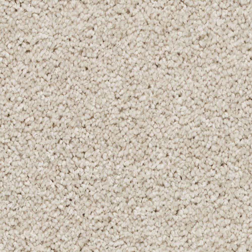 Close-up of beige carpet texture