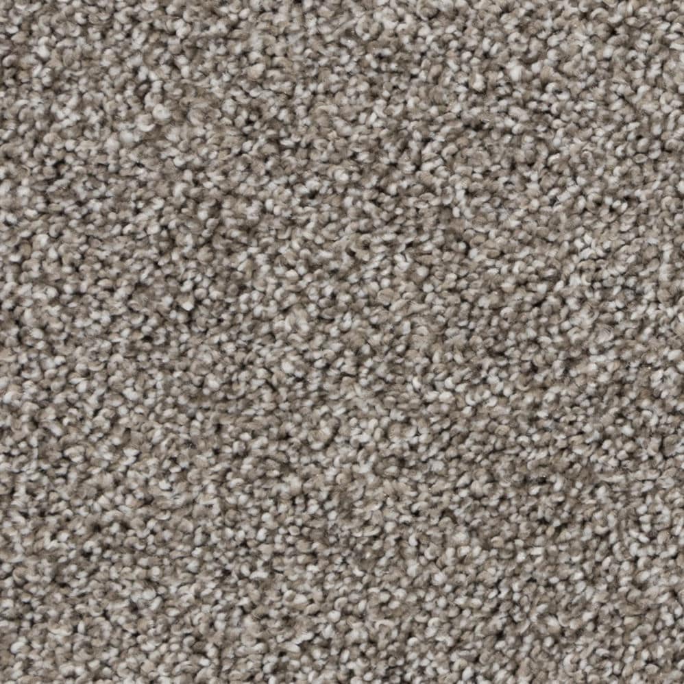 Close-up of beige carpet texture