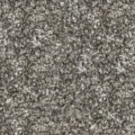 Coachman Grey