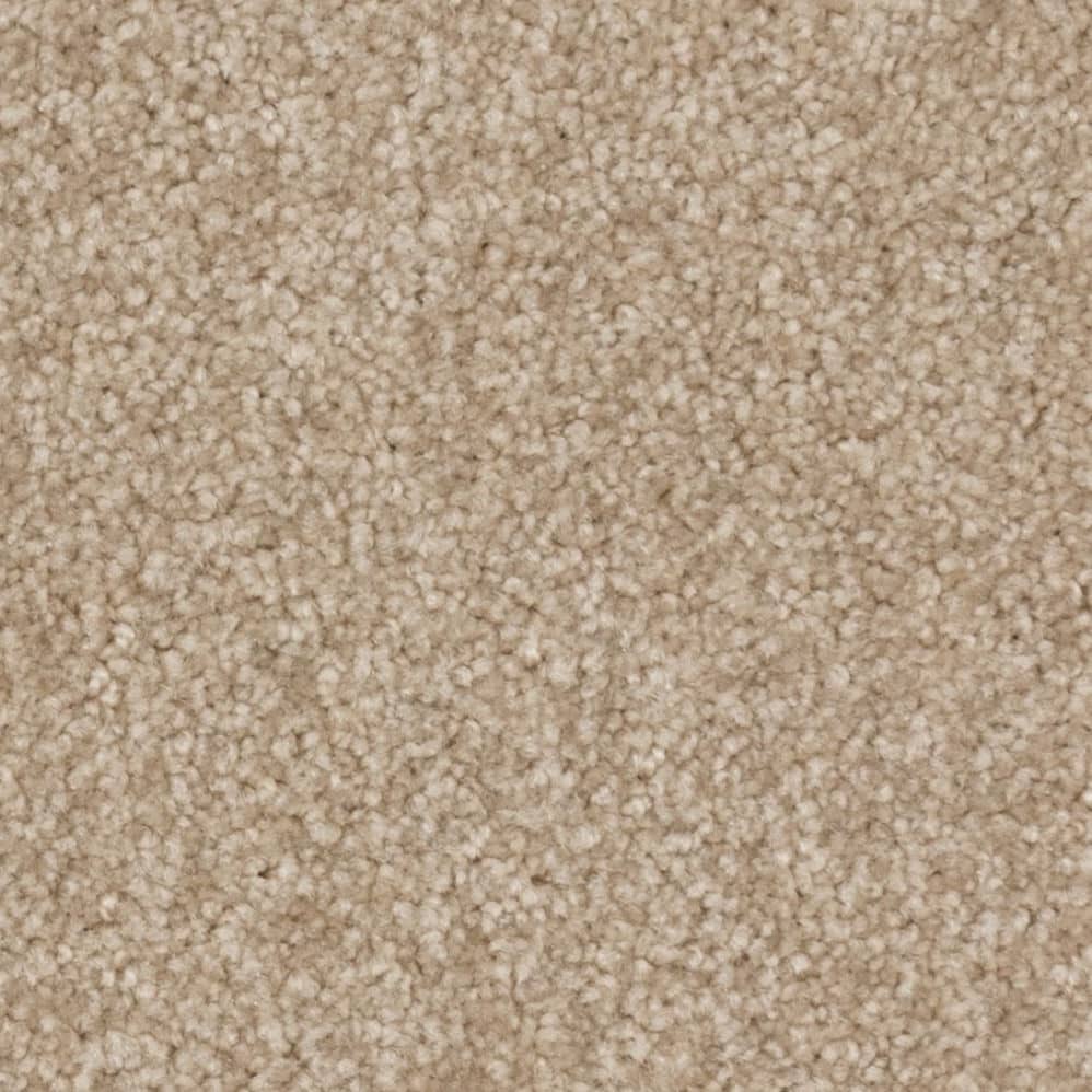 Close-up of beige carpet texture