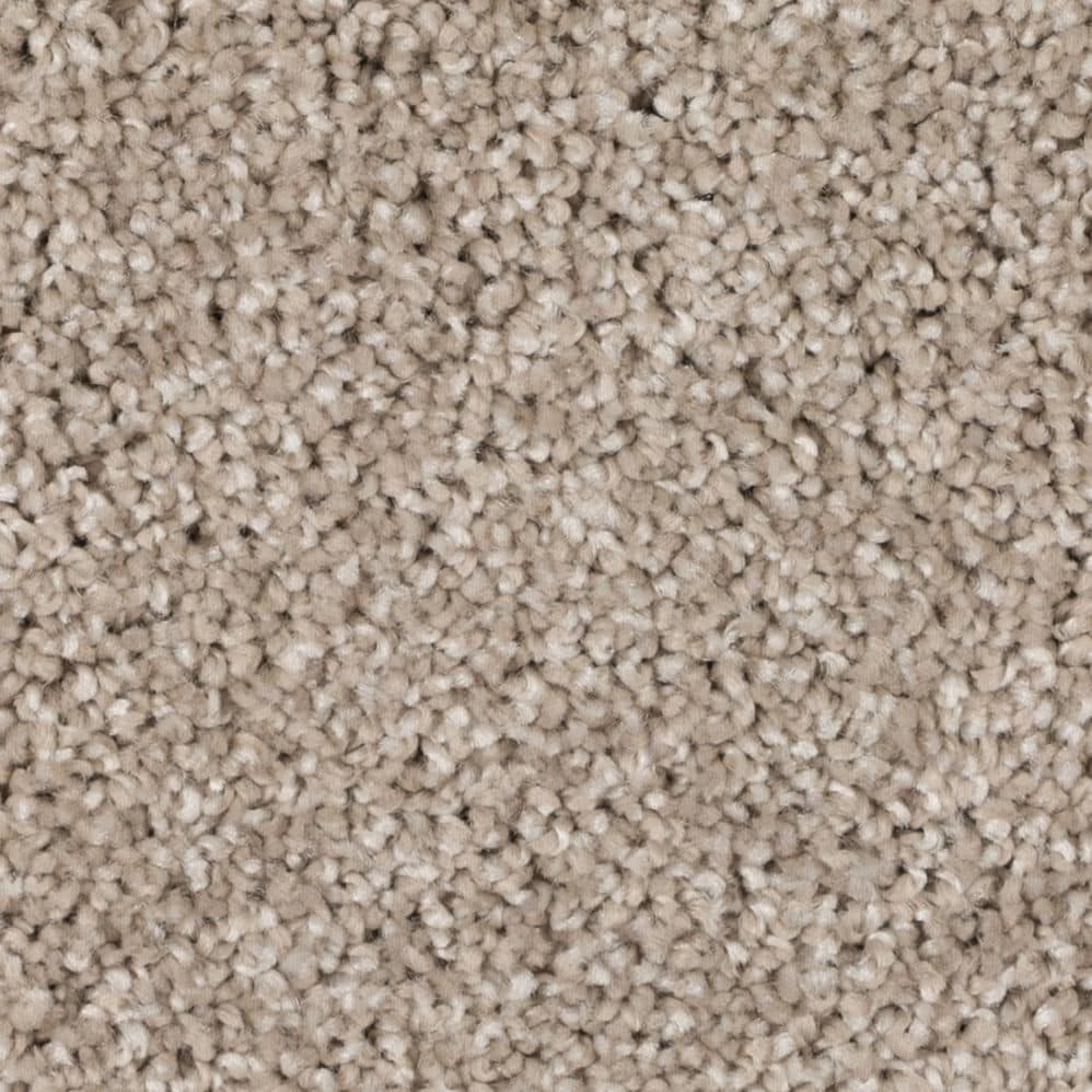 Close-up of beige textured carpet surface