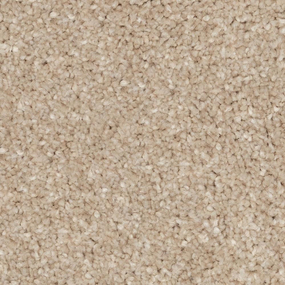 Close-up of beige carpet texture