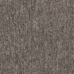 Dragon Grey
