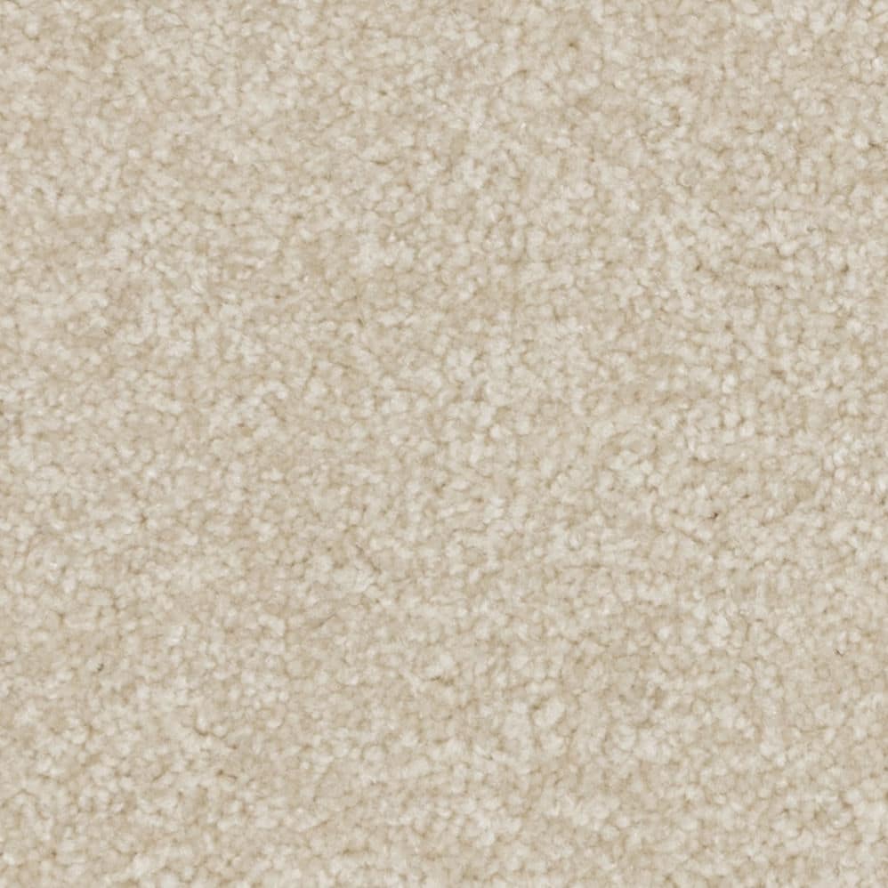 Close-up of beige carpet texture