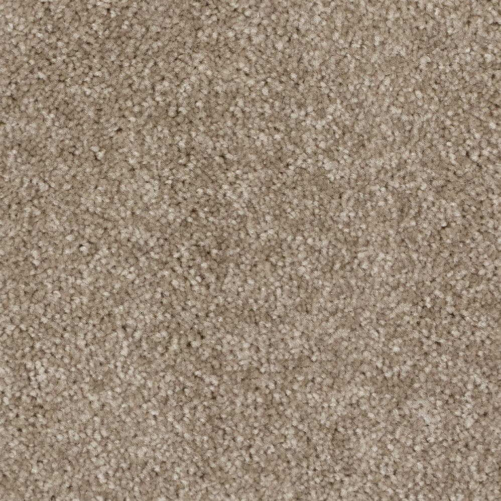 Close-up of beige carpet texture
