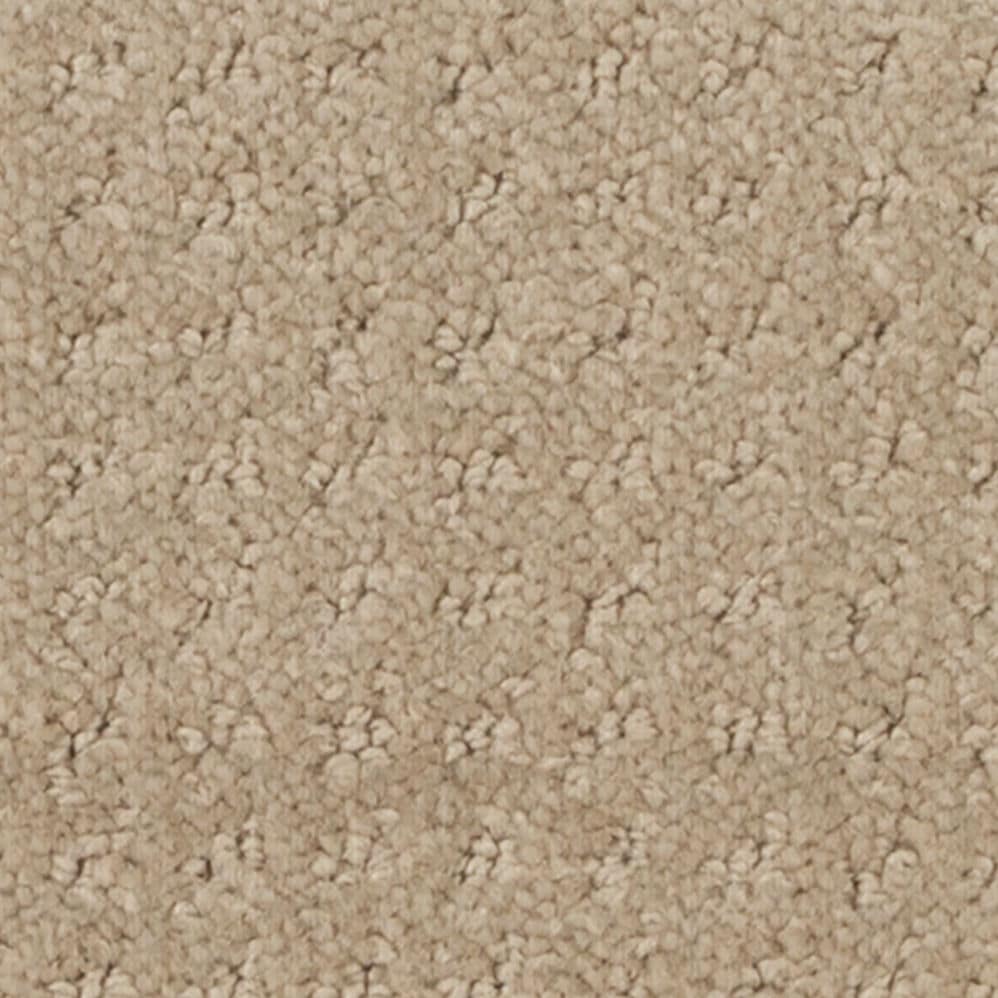 Close-up of beige textured carpet surface