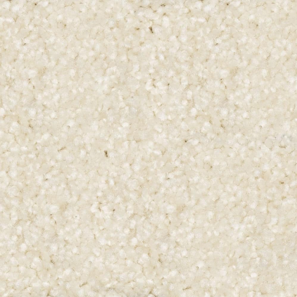 Close-up of beige carpet texture