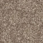 Cabriolet Brown