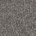 Warm Grey