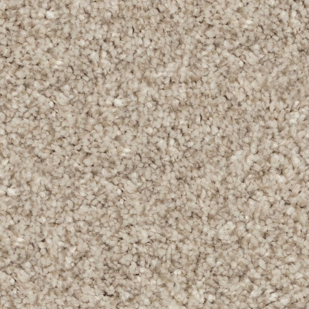 Close-up of beige plush carpet texture