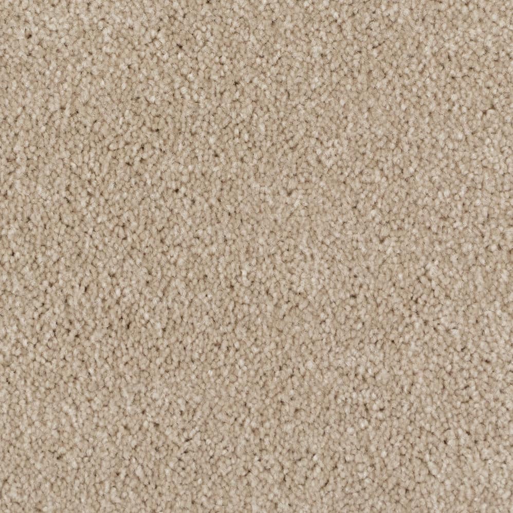 Close-up of beige carpet texture