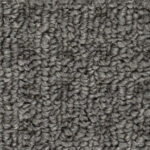 North American Grey