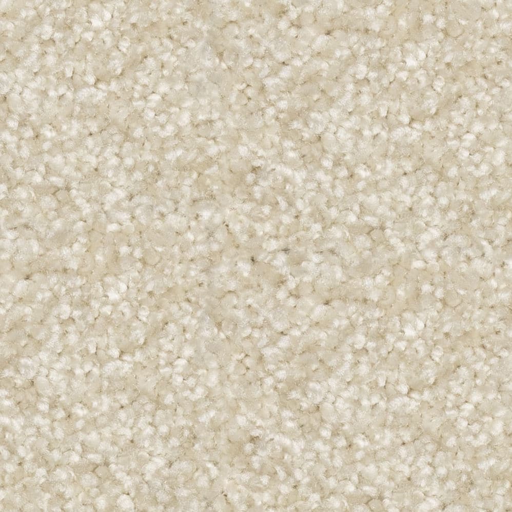 Close-up of beige carpet texture