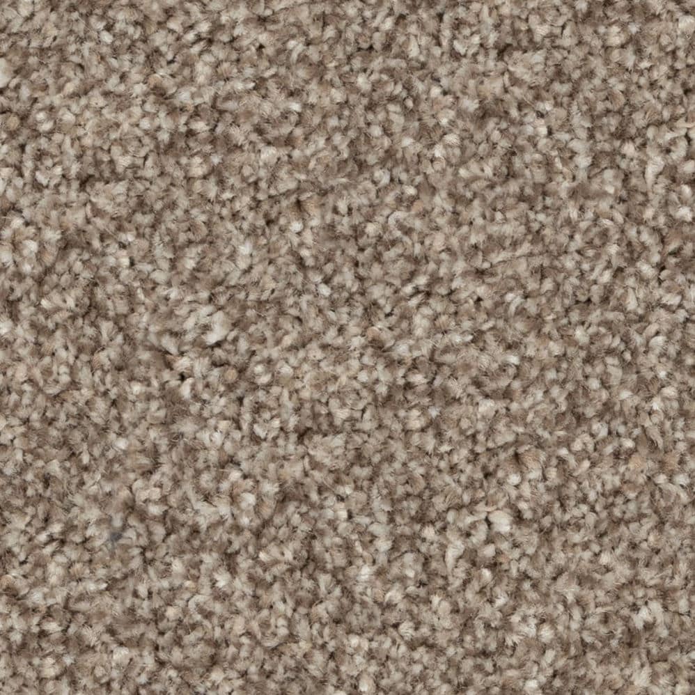 Close-up of beige textured carpet surface