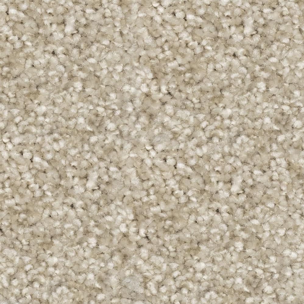 Close-up of beige carpet texture