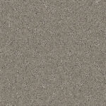 Sparrow Grey