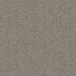 Sparrow Grey