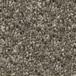 Wet Concrete