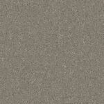 Sparrow Grey